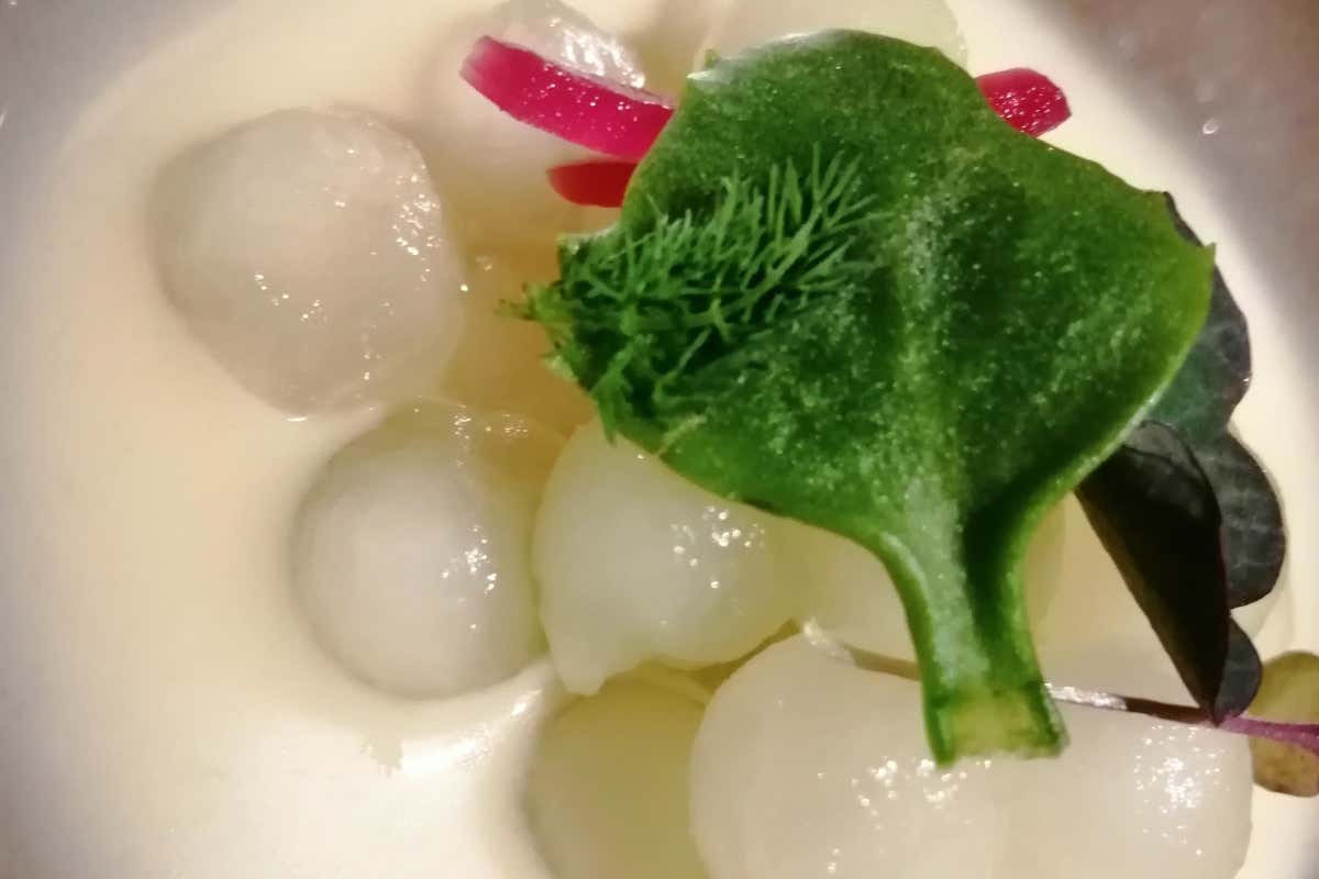 Ceviche di cocomero Rum Matusalem sublime edizione limitata per i 150 anni dell'etichetta di culto