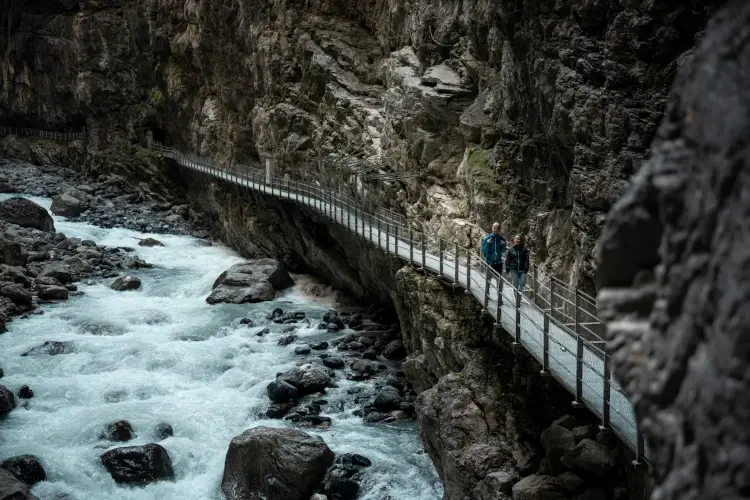 Il ghiacciaio inferiore di Grindelwald Svizzera, gole e ghiacciai da ammirare