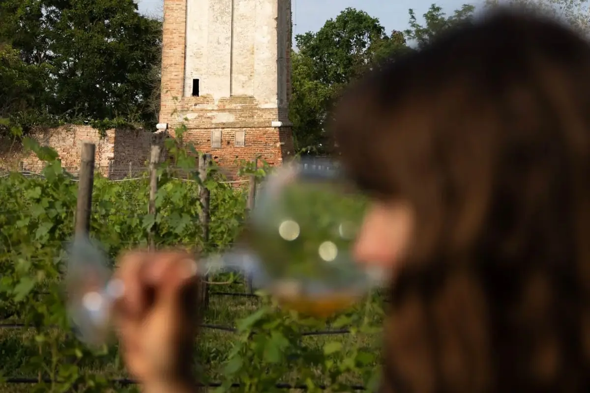 Wine in Venice andr&agrave; in scena dal prossimo 28 gennaio 2023 a Venezia Wine in Venice, aperte le candidature per il red carpet del vino