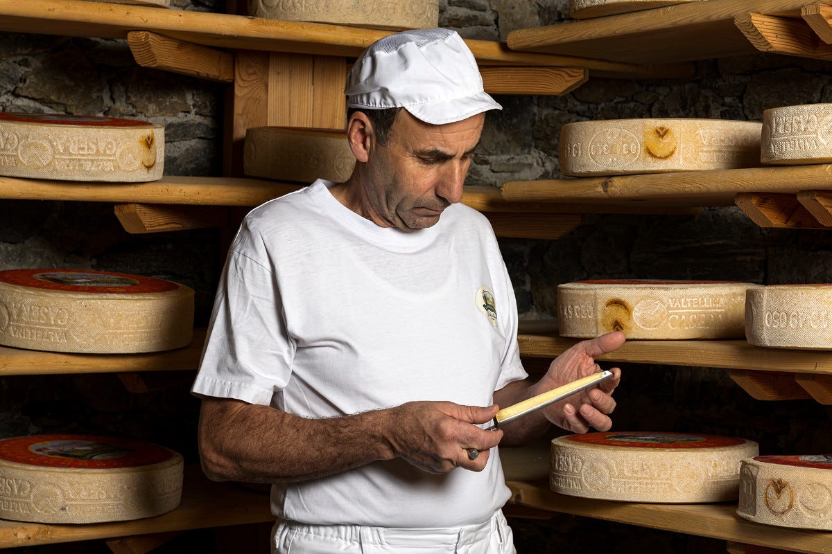 Premio alla Carriera Francesco Miotti  con Valtellina Casera Dop Italian Cheese Awards, il pecorino Gregoriano è il formaggio dell’anno