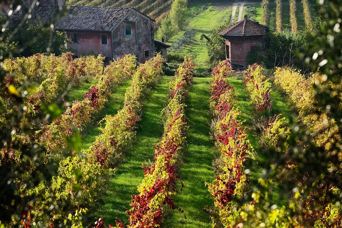 Bertinoro, dal