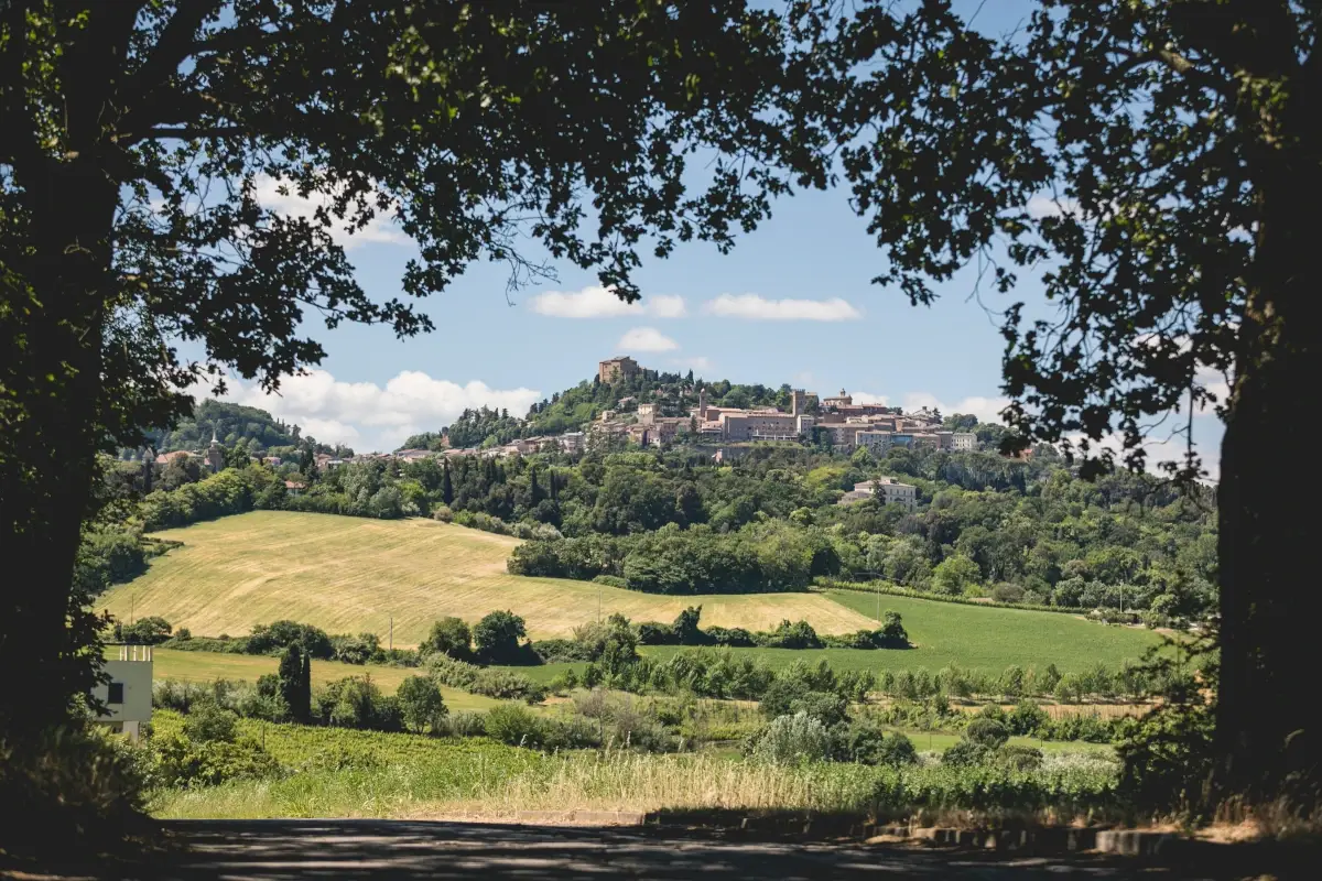 Bertinoro, dal