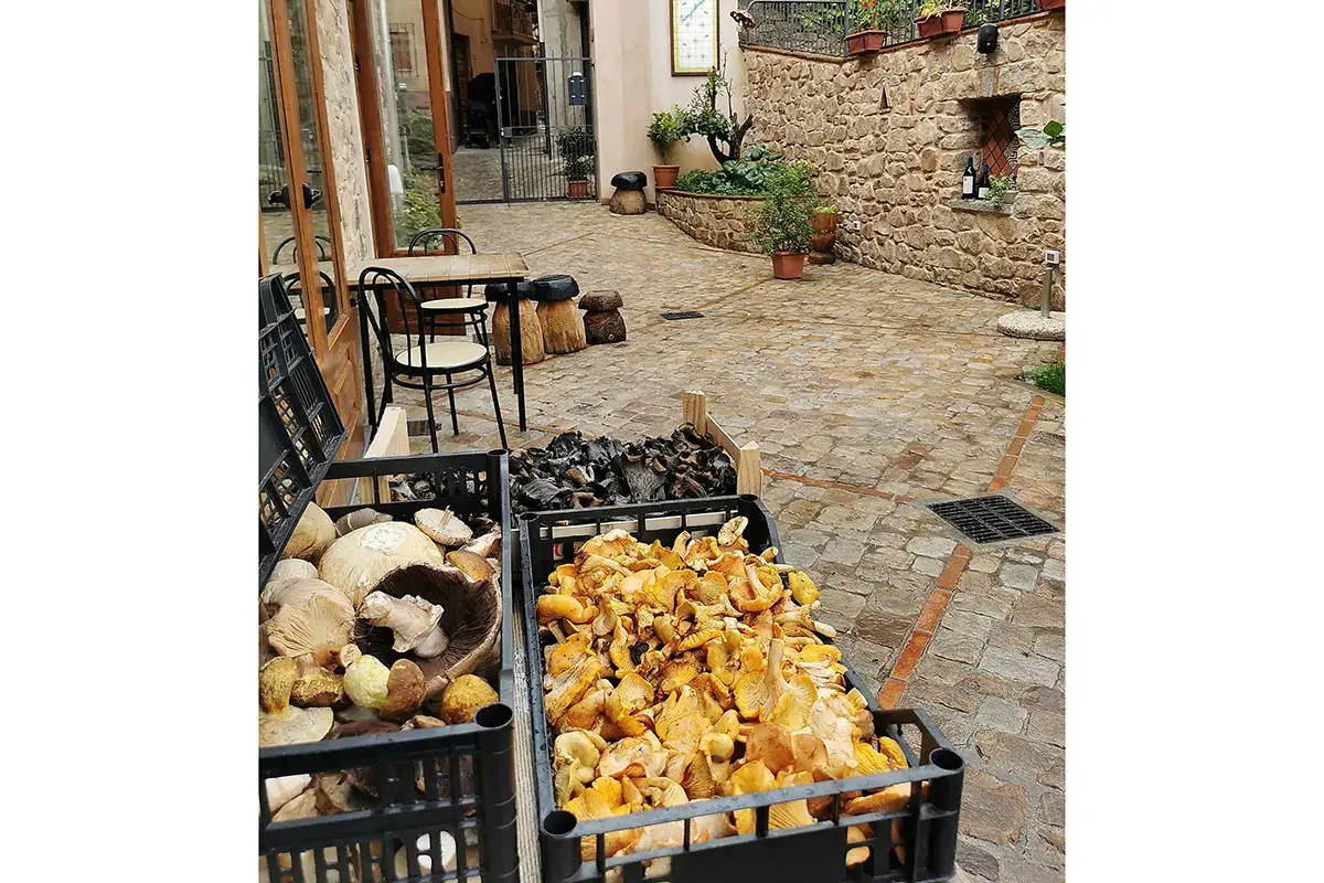 Funghi appena arrivati Nangalarruni a Castelbuono, l&rsquo;osteria famosa per prodotti e piatti di montagna