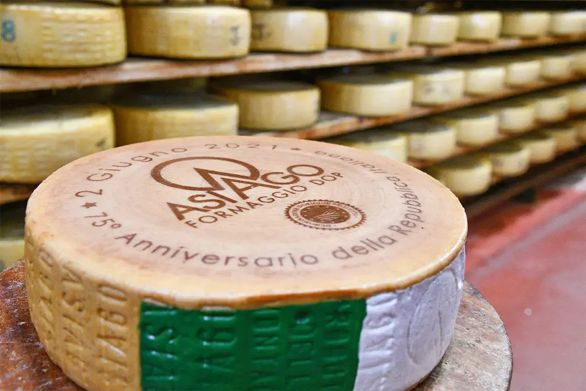 La forma celebrativa con il tricolore Asiago Dop 75 mesi al Quirinale Il Consorzio festeggia il 2 giugno