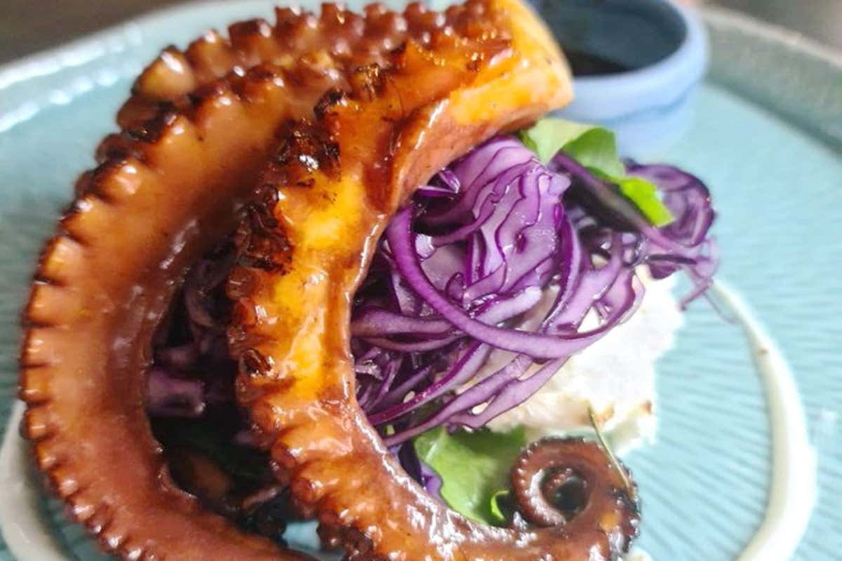 Polpo in tre cotture Sardina PastaBar, piatti di mare come quadri d’autore