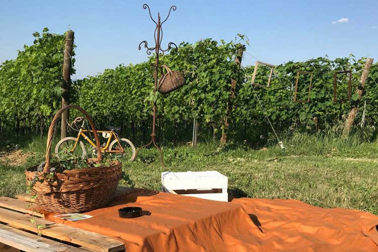 La rassegna aprir&agrave; sabato prossimo, 15 giugno (I 20 anni di Zola Jazz&Wine Quattro concerti tra le vigne)