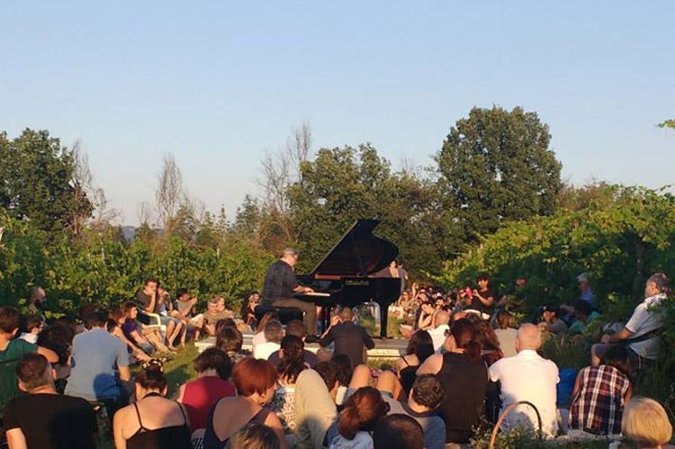 Un concerto di pianoforte tra le vigne (I 20 anni di Zola Jazz&Wine Quattro concerti tra le vigne)