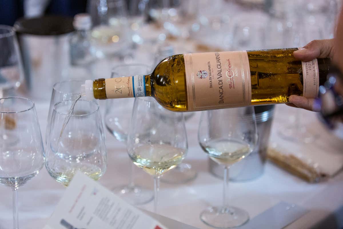 Duecento anni di Duca di Salaparuta: il vino come veicolo d'arte siciliana