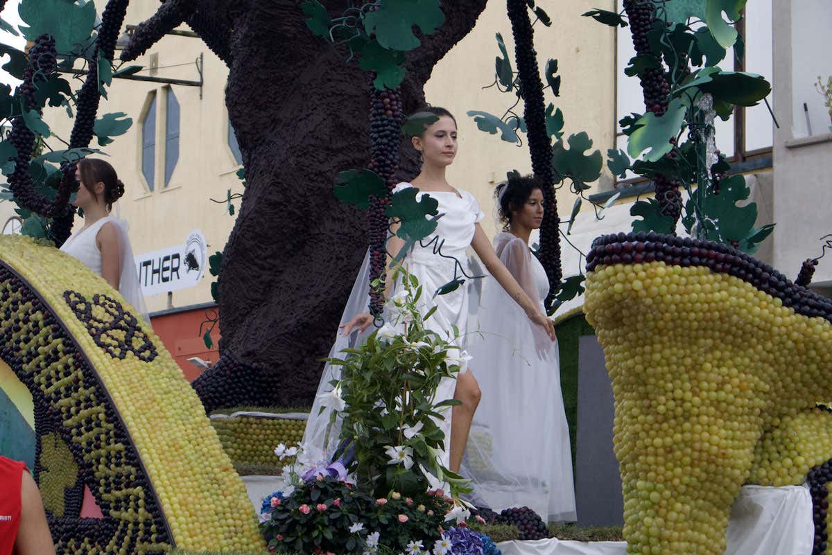 Vo' celebra la 74ª Festa dell'Uva: tra carri spettacolari e vini dei Colli Euganei Vo' celebra la 74ª Festa dell'Uva: tra carri spettacolari e vini dei Colli Euganei