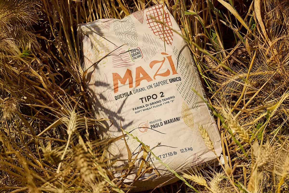 Dalla Siria alle Marche: il grano che diventa farina e birra grazie al progetto Mazì Dalla Siria alle Marche: il grano che diventa farina e birra grazie al progetto Mazì