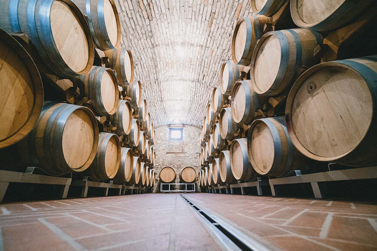 Le barriques nella cantina storica Foto: Stefano Casati Da Tenuta Roveglia per scoprire la storia del Lugana