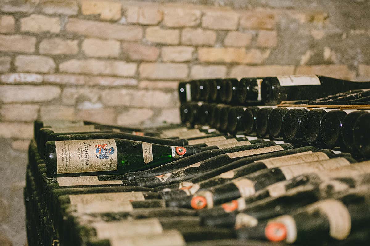 Vini preziosi. Foto: Stefano Casati Da Tenuta Roveglia per scoprire la storia del Lugana