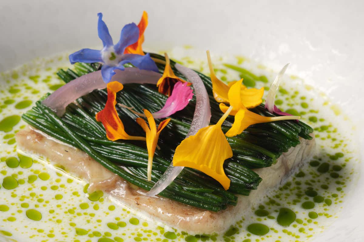 Musa Lago di Como, quando ospitalità di lusso e alta cucina si accompagnano