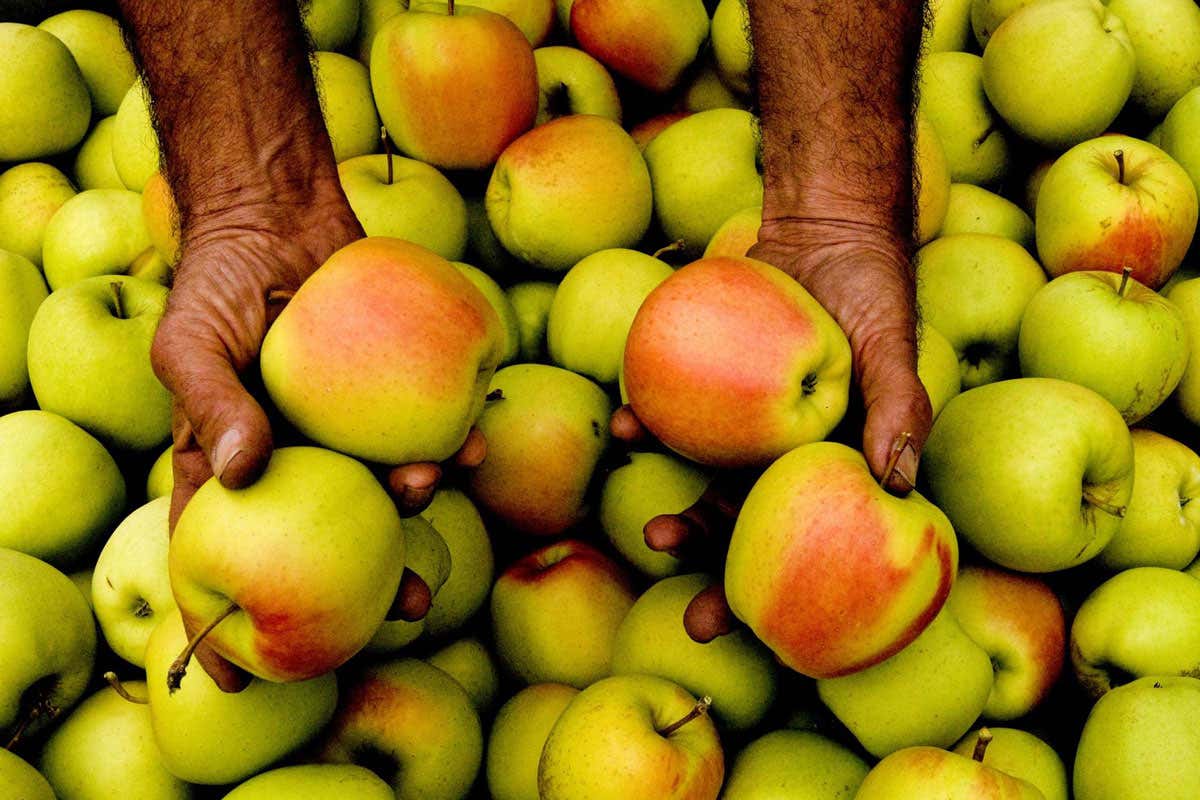 C’è una valle tra rovine ancestrali e silenzi inquieti, in cui la Mela Dop affascinò Sissi