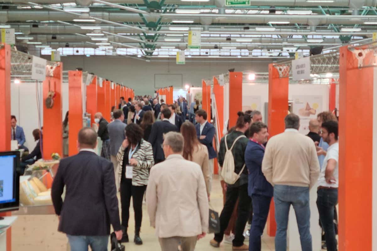 La fiera ha ben rappresentato le esigenze degli operatori della filiera lattiero-caseario B2Cheese, Bergamo punto di riferimento per la filiera lattiero-casearia La fiera ha ben rappresentato le esigenze degli operatori della filiera lattiero-caseario B2Cheese, Bergamo punto di riferimento per la filiera lattiero-casearia