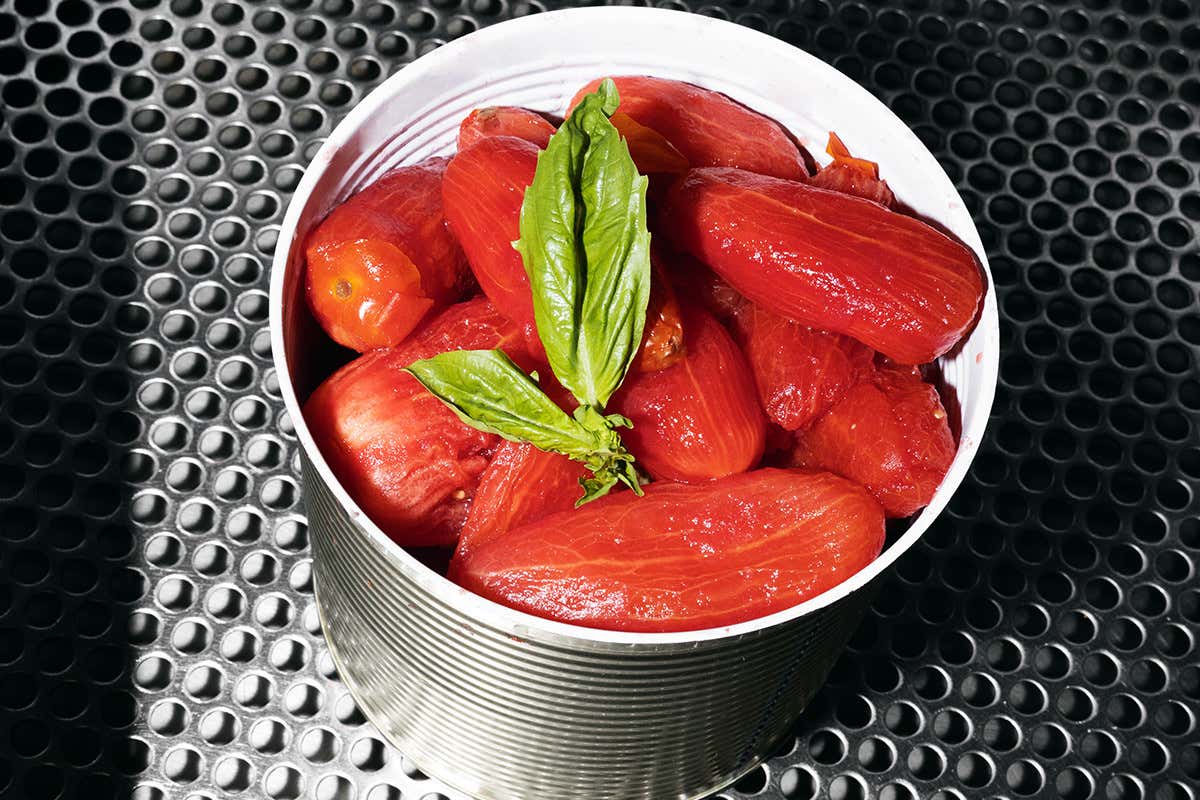 I pelati di Casa Marrazzo. Foto: Mia Di Domenico A Casa Marrazzo la festa per la raccolta del Pomodoro San Marzano Dop