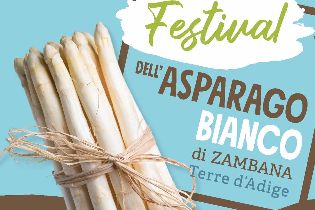 Tutto pronto per il Festival dell'asparago bianco di Zambana