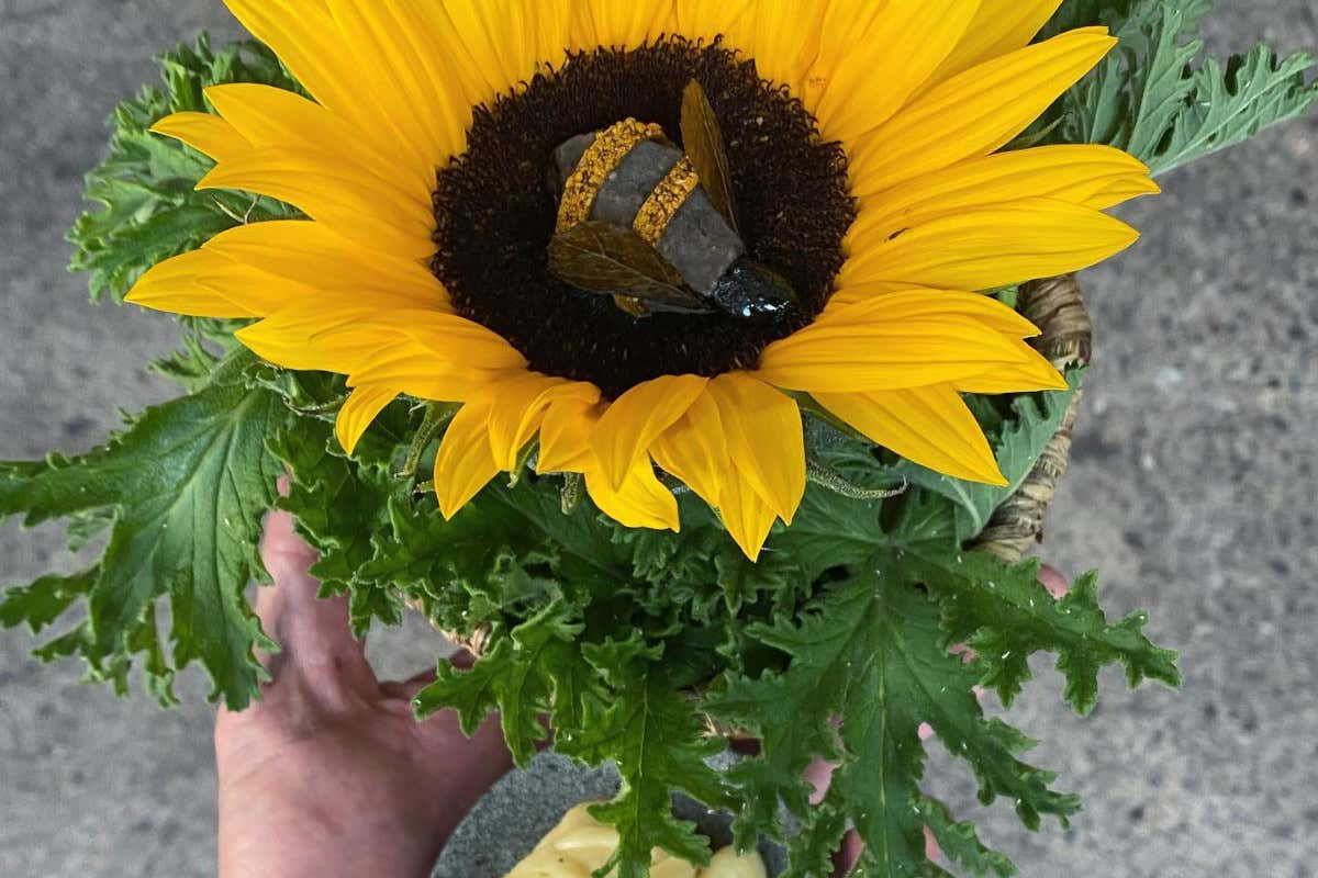 La cucina endemica di Rodolfo Guzmán, il cuoco cileno fra i più famosi al mondo