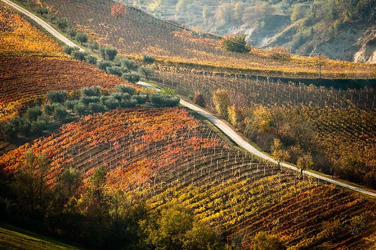 Pedalando nelle MarcheD&rsquo;inverno tra natura e borghi