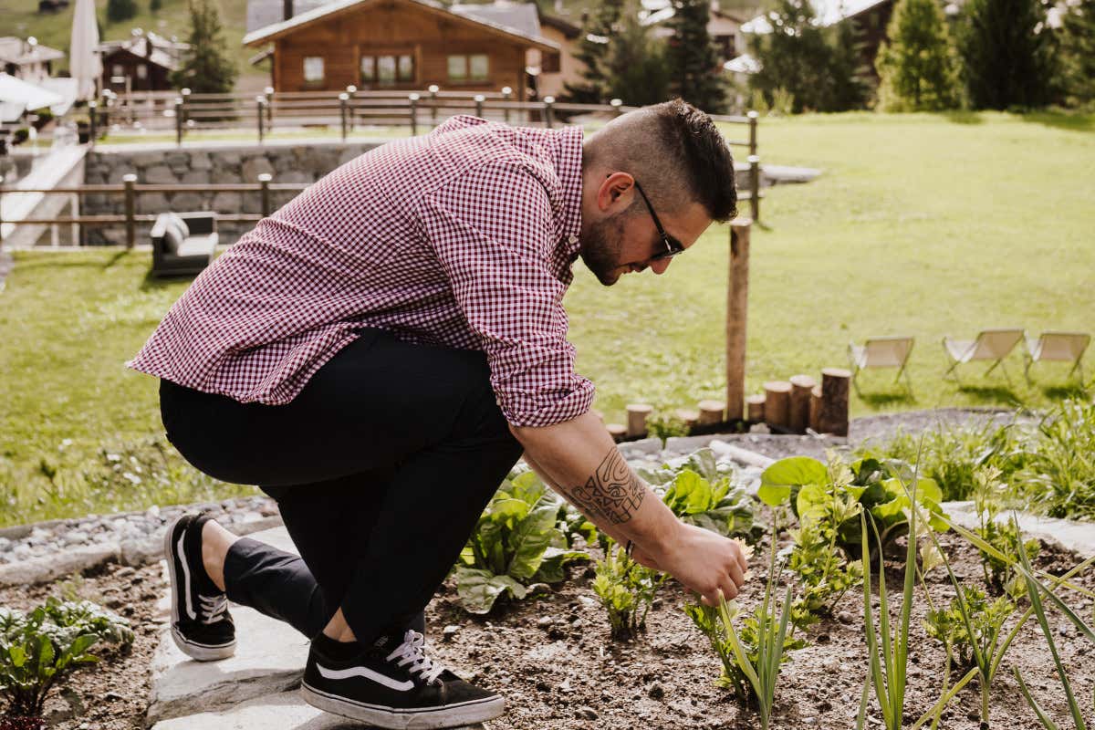 Pronti a provare il primo ristorante veg di Livigno? Apre Stua da Legn