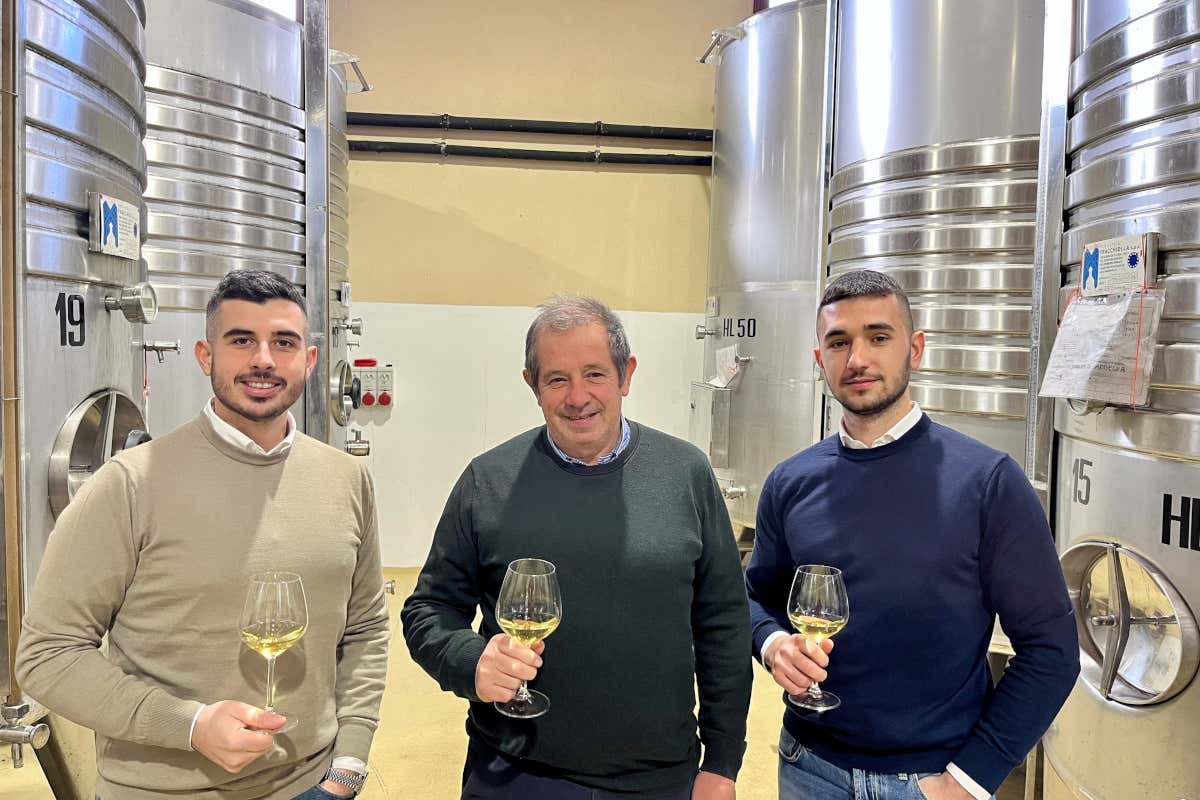 Raffaele, Antioco e Federico Gregu Tenute Gregu giovani che fanno vino secondo gli antichi saperi