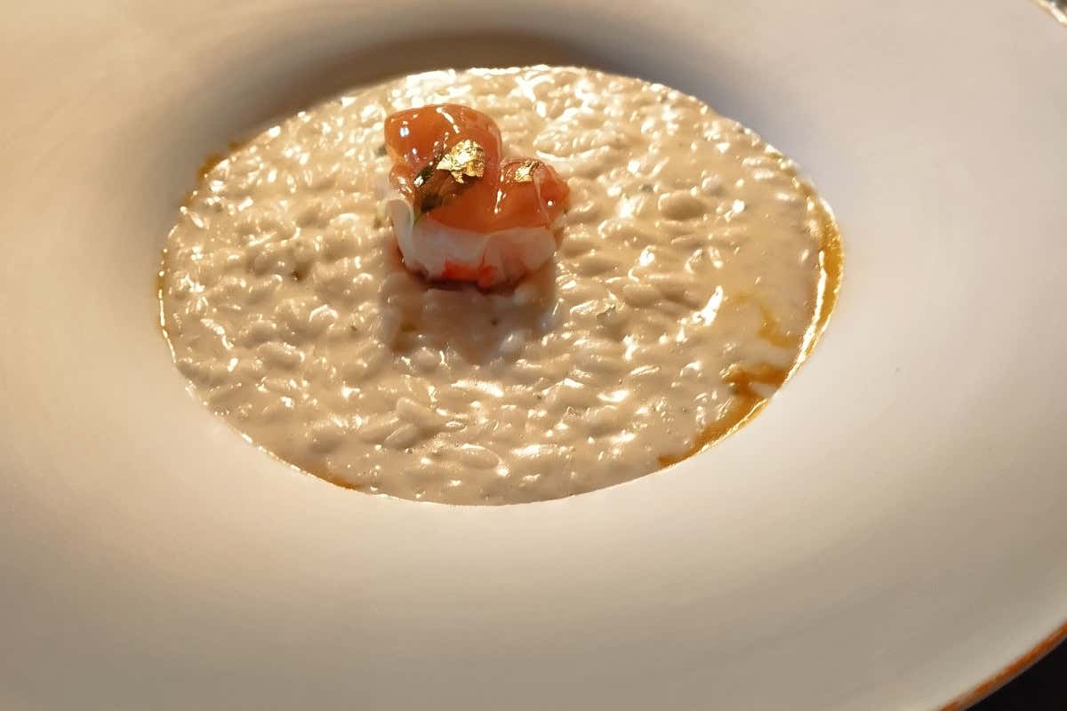 Ecco come sono le nuove annate della linea Myò di Zorzettig