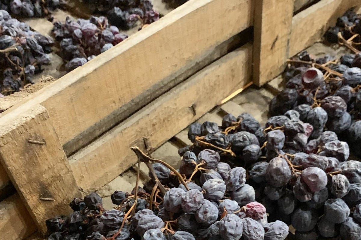 Valpolicella pronto il dossier Unesco per l'Appassimento delle uve