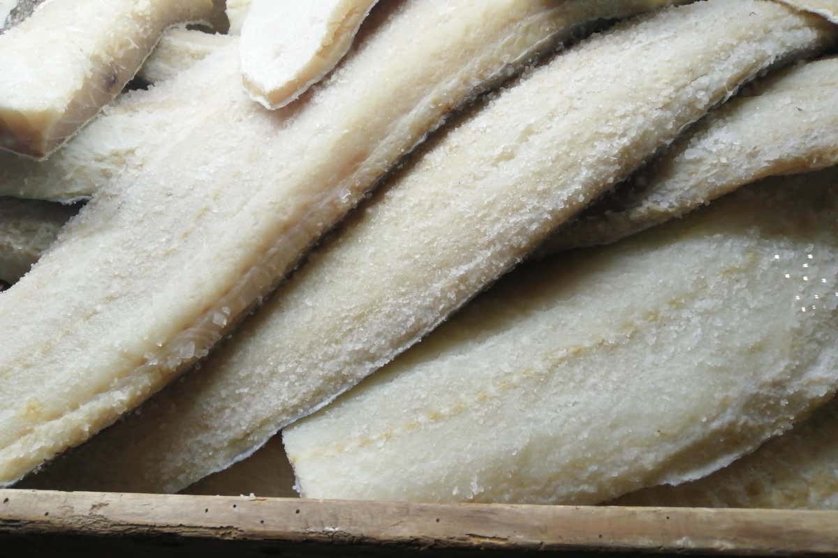 Roma Baccalà, alla Garbatella si celebra il buon pesce del nord