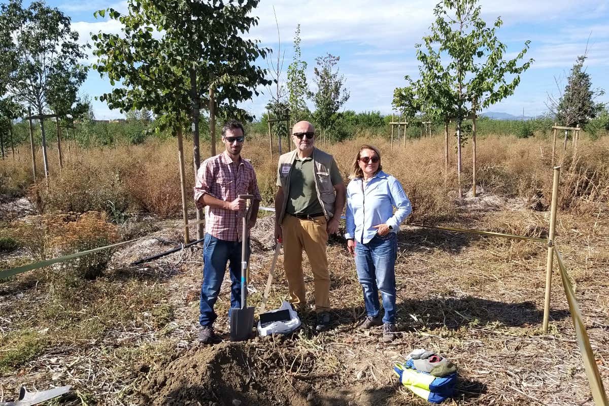 Cosa mangiavano gli antichi? L’esperimento nel Bosco del Molino Cosa mangiavano gli antichi? L’esperimento nel Bosco del Molino