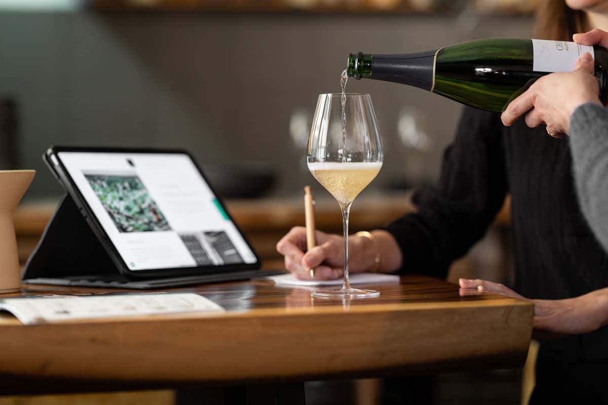 Imparare lo Champagne online con i corsi del Comité Champagne