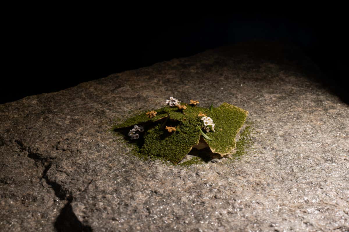 Nell'anima della chef: il nuovo menu di Cantina Nicola, ristorante con vigna