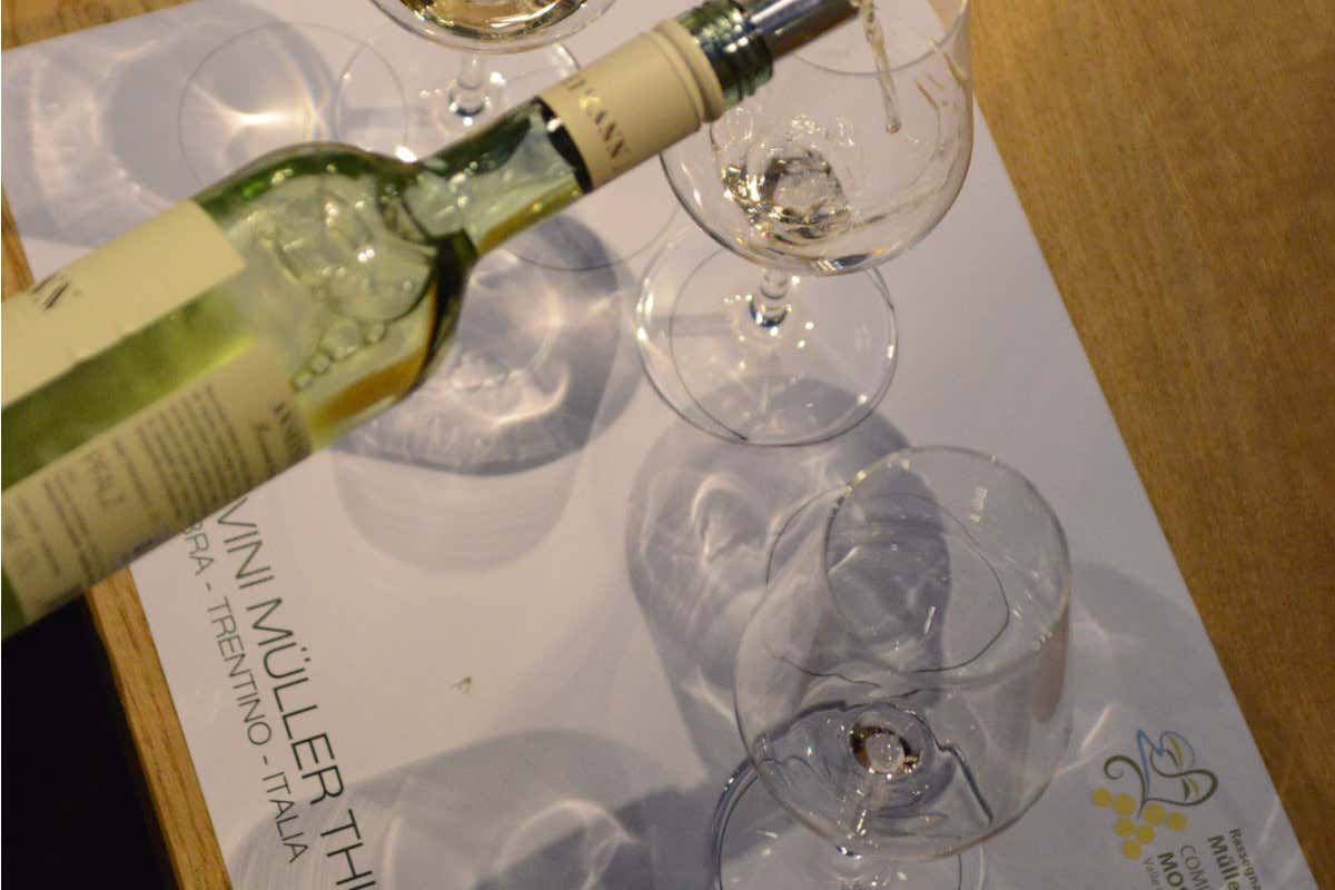 Le nuove sfide del Müller-Thurgau, il vino eroico della Val di Cembra Le nuove sfide del Müller-Thurgau, il vino eroico della Val di Cembra