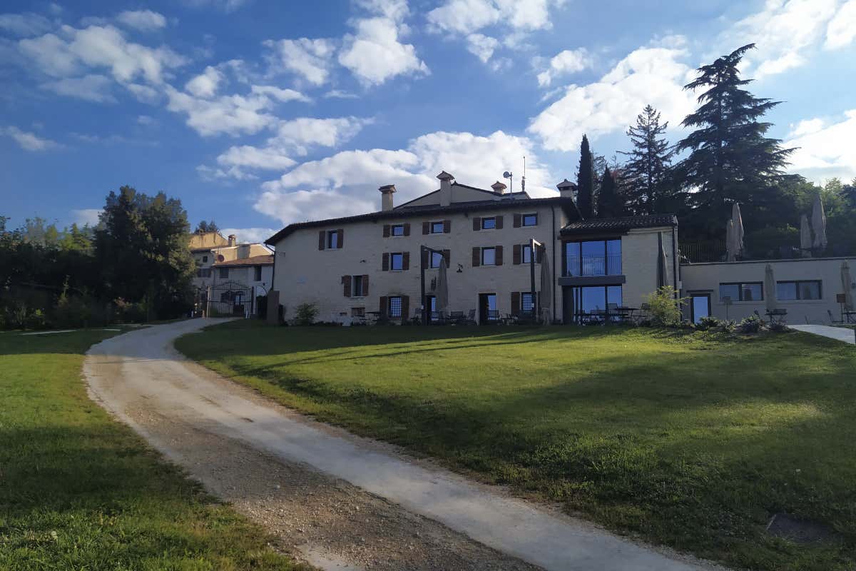 Collina dei ciliegi il successo di una cantina sogno di viticoltore finanziere