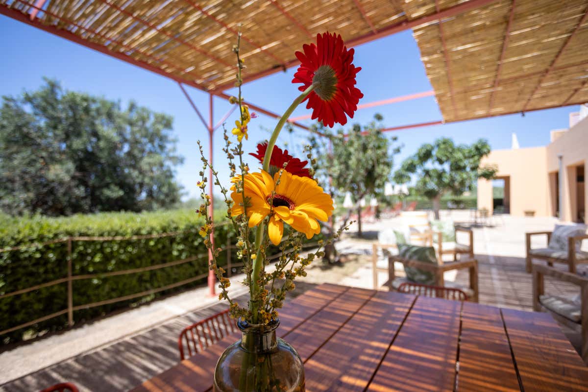 Cerchi un rifugio di charme in famiglia in Sicilia? Apre La Segreta Country House 