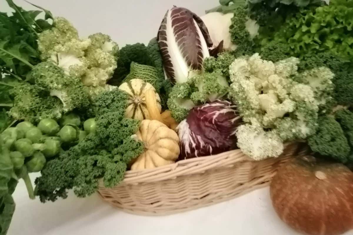 Arriva il festival diffuso per raccontare il gusto della Marsica