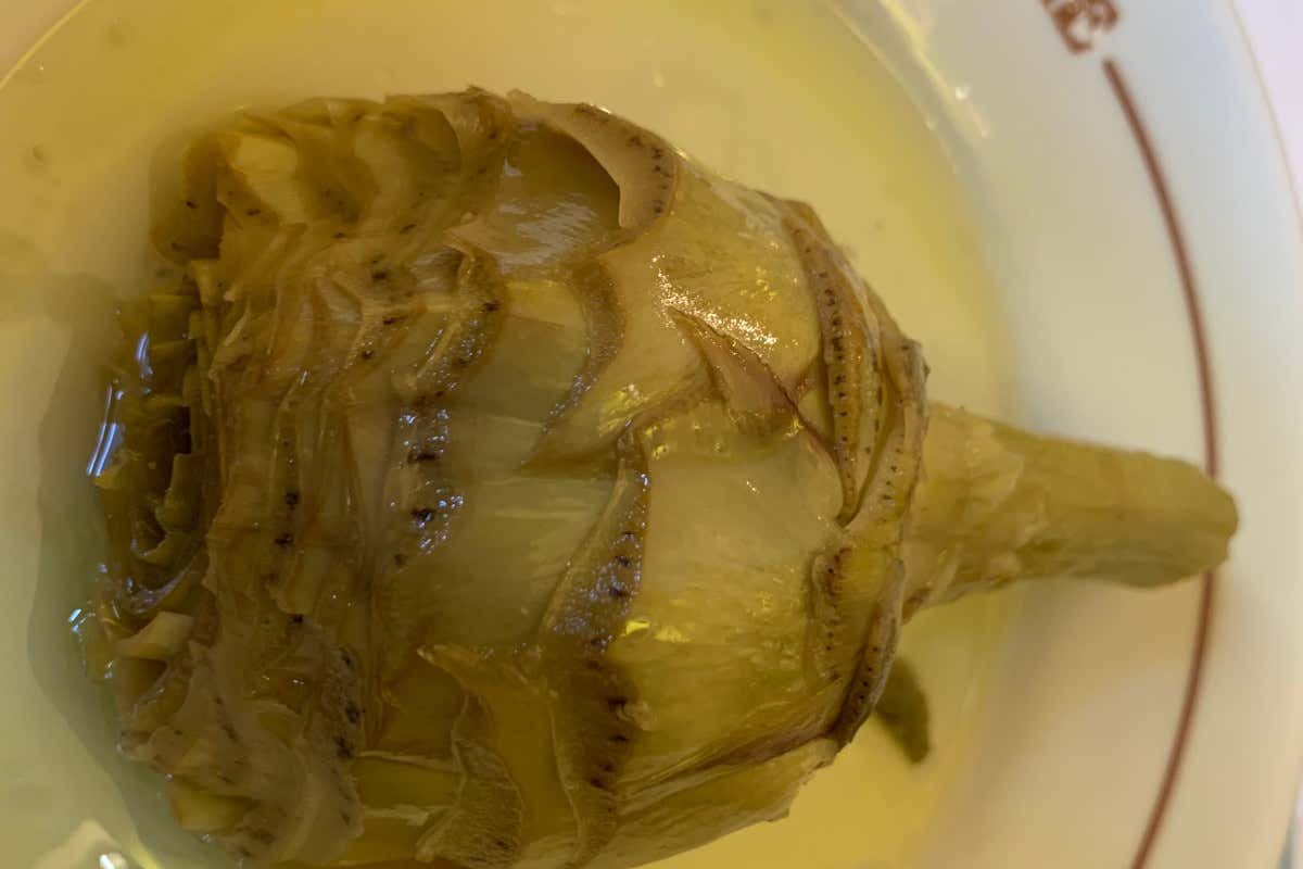 Dove mangiare il meglio della pasta romana? Da Nerone, hosteria vista Colosseo