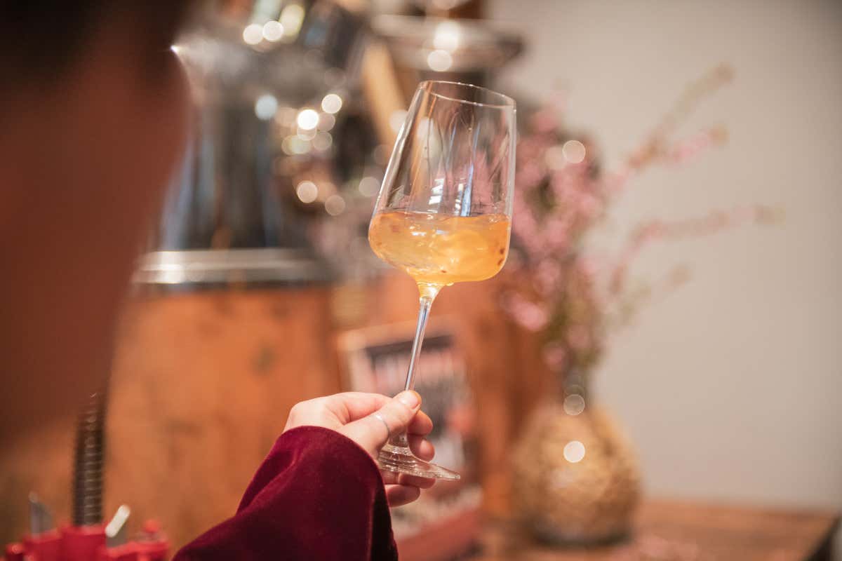 Foto: Luca Riviera Nosiola e Vin Santo trentino: il successo di vini in constante evoluzione