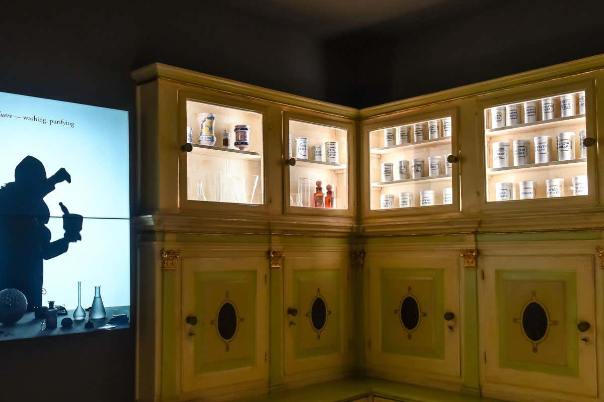 Ecco l'itinerario perfetto per vedere (e gustare) Padova in bicicletta