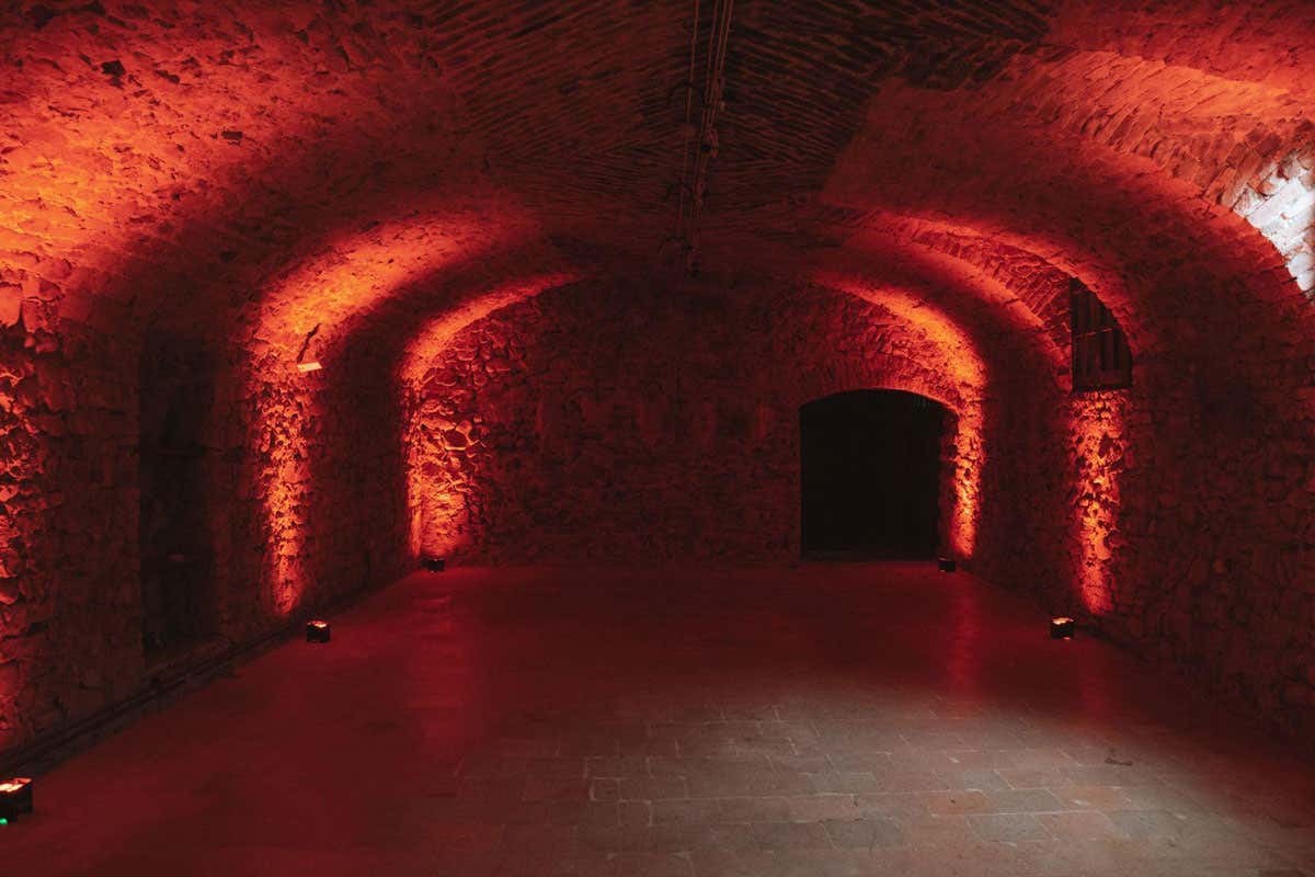 Quota 16, Bianco Reale e Metodo Classico (anche Rosè): scopri i vini Lungoparma Quota 16, Bianco Reale e Metodo Classico (anche Rosè): scopri i vini Lungoparma