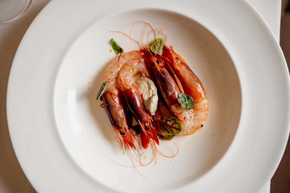 Gamberi al gin Ristorante Don Camillo quando la pasta al pomodoro &egrave; un inno alla cucina italiana