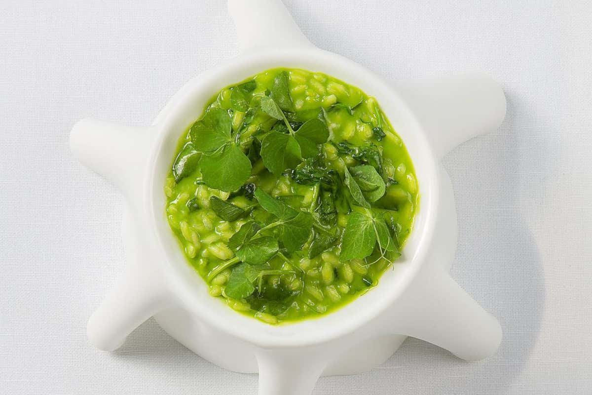 [[Quattro Passi]] con le Stelle. Cosa si mangia nel ristorante tristellato Michelin