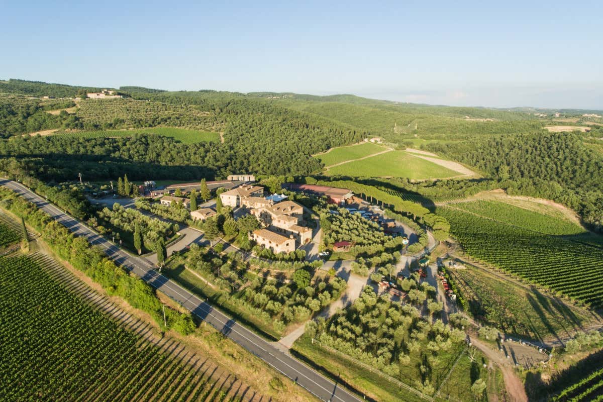 Rocca delle Macìe, 50 anni d’amore per il Chianti Classico
