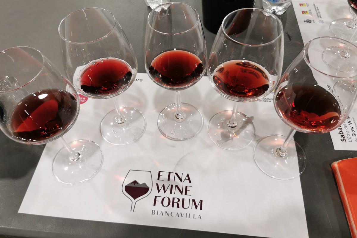 Etna Wine Forum, ecco tutti i migliori vini del vulcano in Sicilia