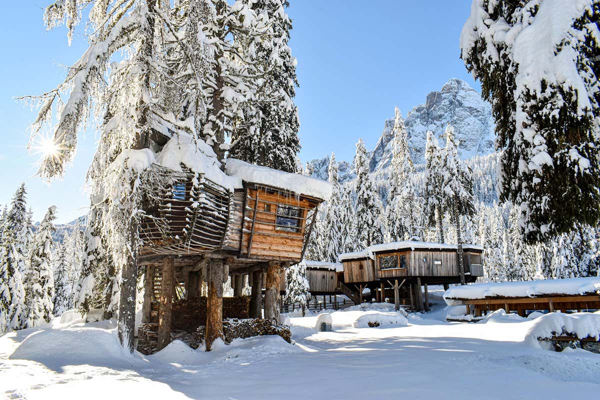 Una casa tra i rami, con le Dolomiti innevate davanti agli occhi
