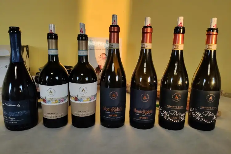 Cantina &Agrave;lice Bel Colle, il sapore autentico dell&rsquo;Alto Monferrato Acquese