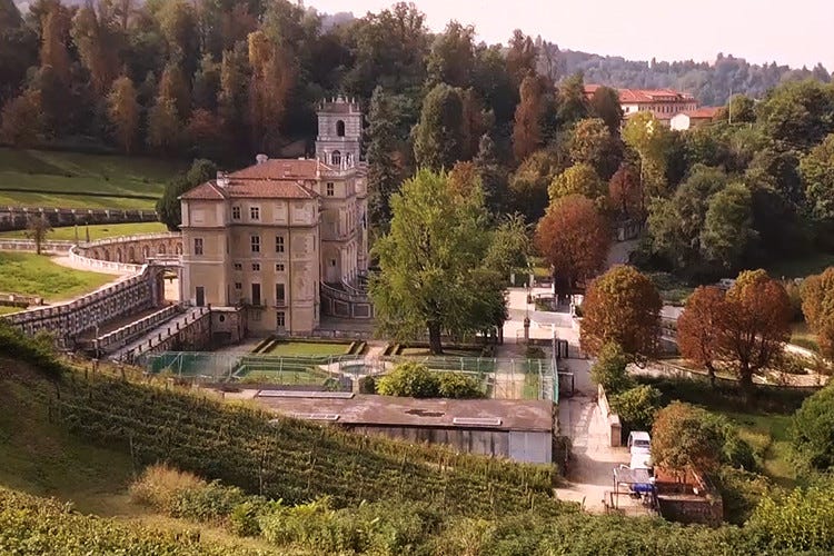 Conosciamo meglio il Freisa, vitigno dell’anno 2022 del Piemonte