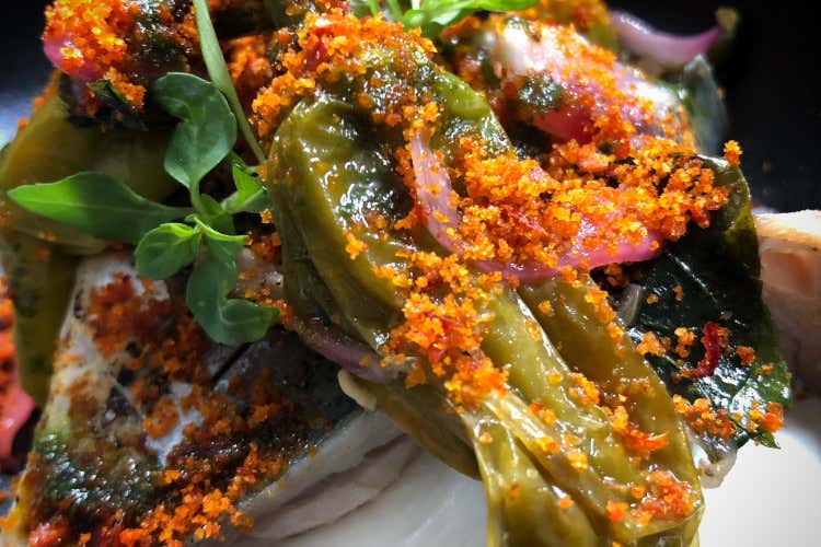 Burrata, friggitelli e pomodoro candito Dalle Marche alla Sicilia, viaggio di gusto da Sepia by Niko di Senigallia