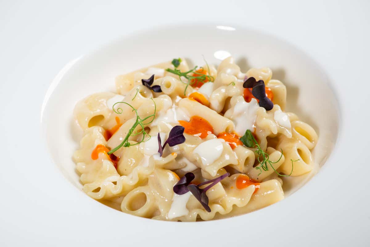 Mischiato potente di Gragnano al burro tartufato, Nduja e crema di Elit Bassi gongorzola Dop di Tommaso Arrigoni  I cuochi Euro-Toques per il Gorgonzola Dop Bassi