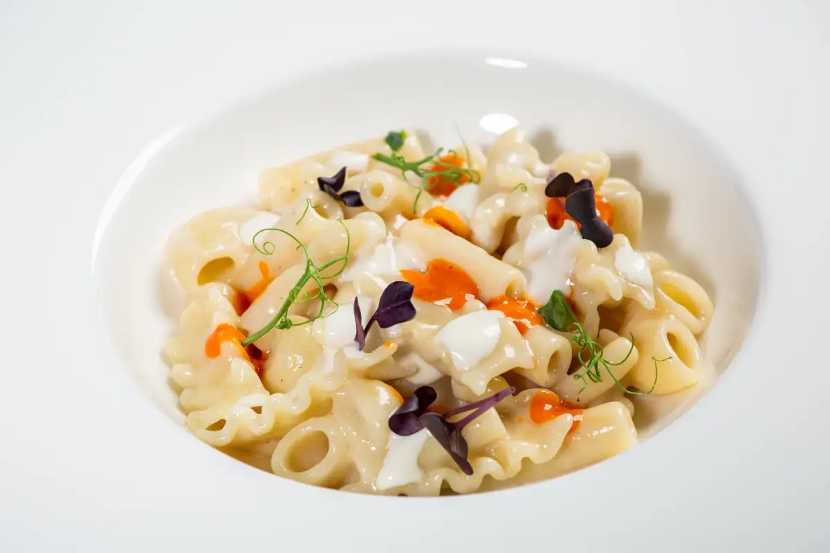 Mischiato potente di Gragnano al burro tartufato, Nduja e crema di Elit Bassi gongorzola Dop di Tommaso Arrigoni  I cuochi Euro-Toques per il Gorgonzola Dop Bassi