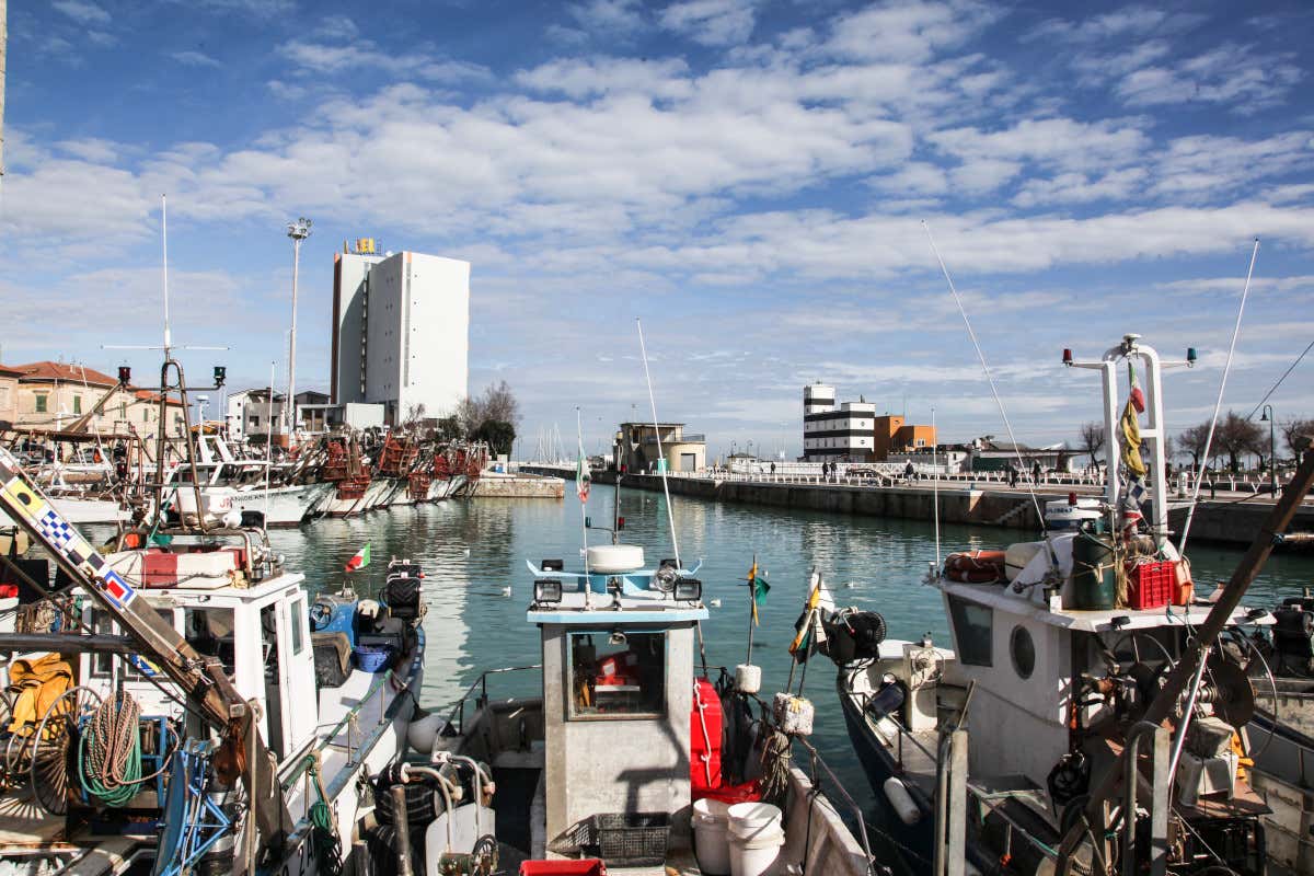 Senigallia, la città gourmet (ma non solo)